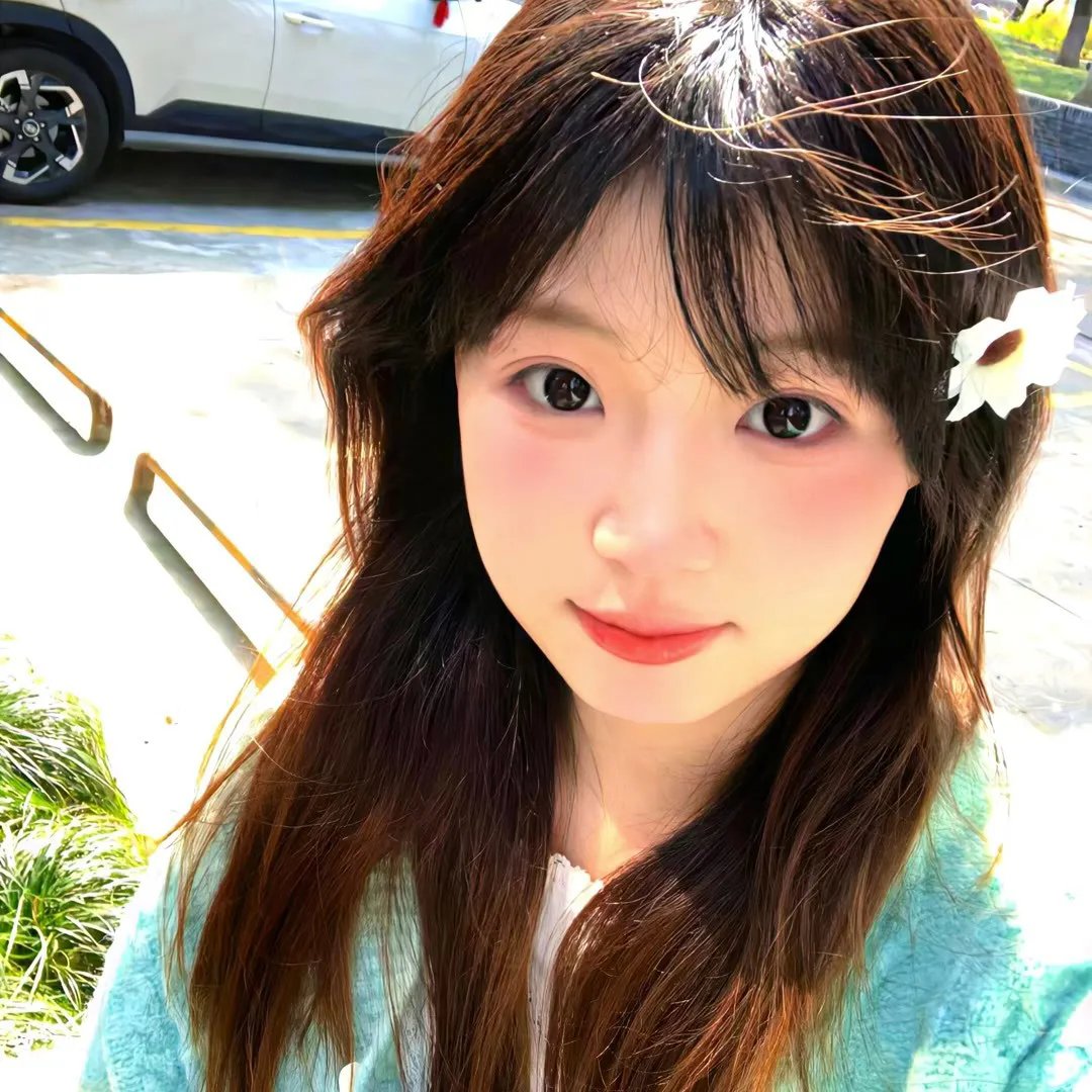 最后的飞行
